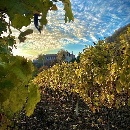 Agriturismo Pian Del Duca Vesime Kültér fotó