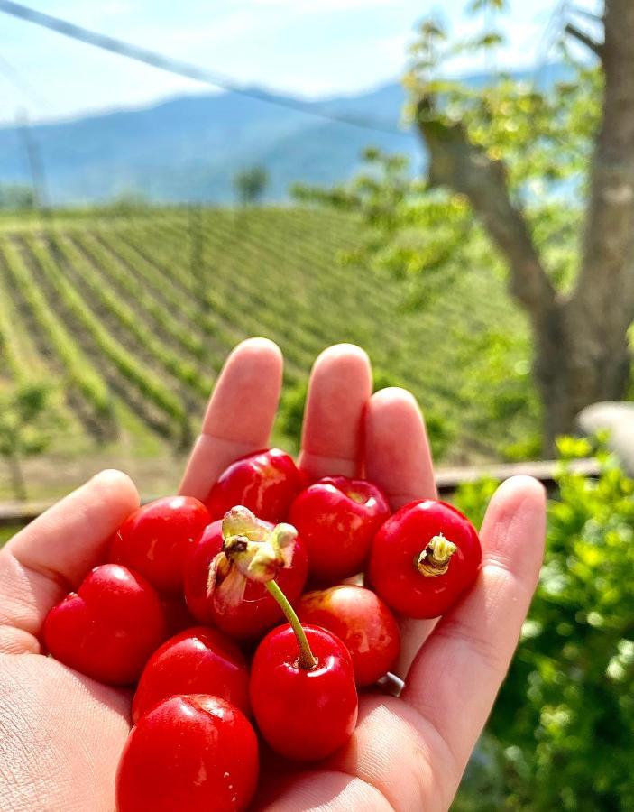 Agriturismo Pian Del Duca Vesime Kültér fotó