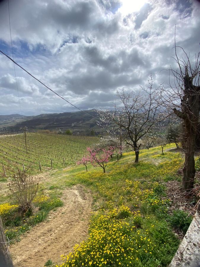 Agriturismo Pian Del Duca Vesime Kültér fotó