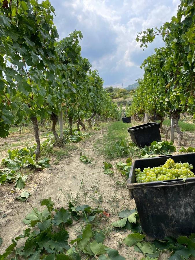 Agriturismo Pian Del Duca Vesime Kültér fotó