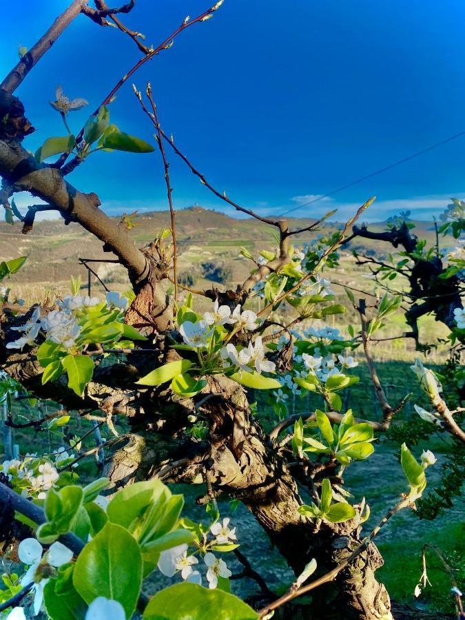 Agriturismo Pian Del Duca Vesime Kültér fotó