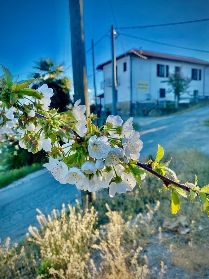 Agriturismo Pian Del Duca Vesime Kültér fotó