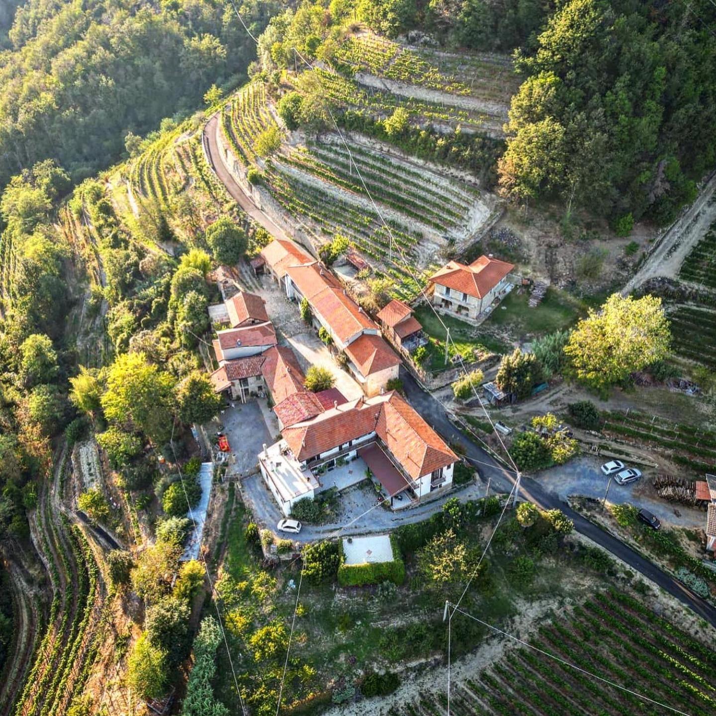 Agriturismo Pian Del Duca Vesime Kültér fotó